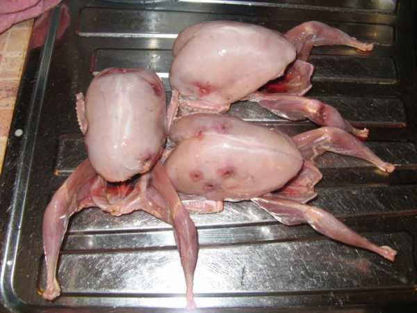 820b2b0408b06d403b51b3b75ef80b28 Как ощипать рябчика в домашних условиях